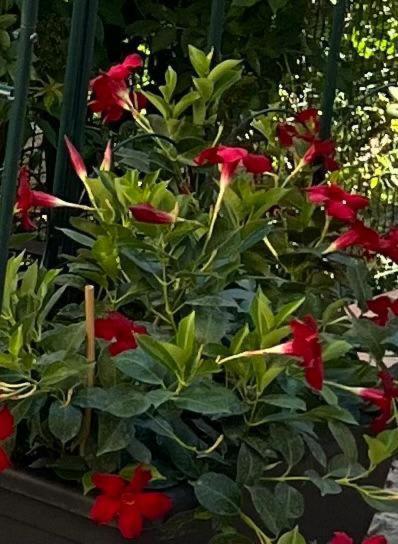Le Fate Umbria Bed and Breakfast Sellano Exteriör bild