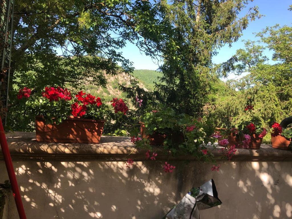 Le Fate Umbria Bed and Breakfast Sellano Exteriör bild